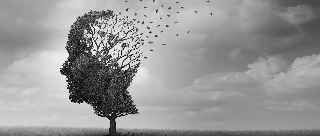 “健忘”这件事正在逼疯这届年轻人