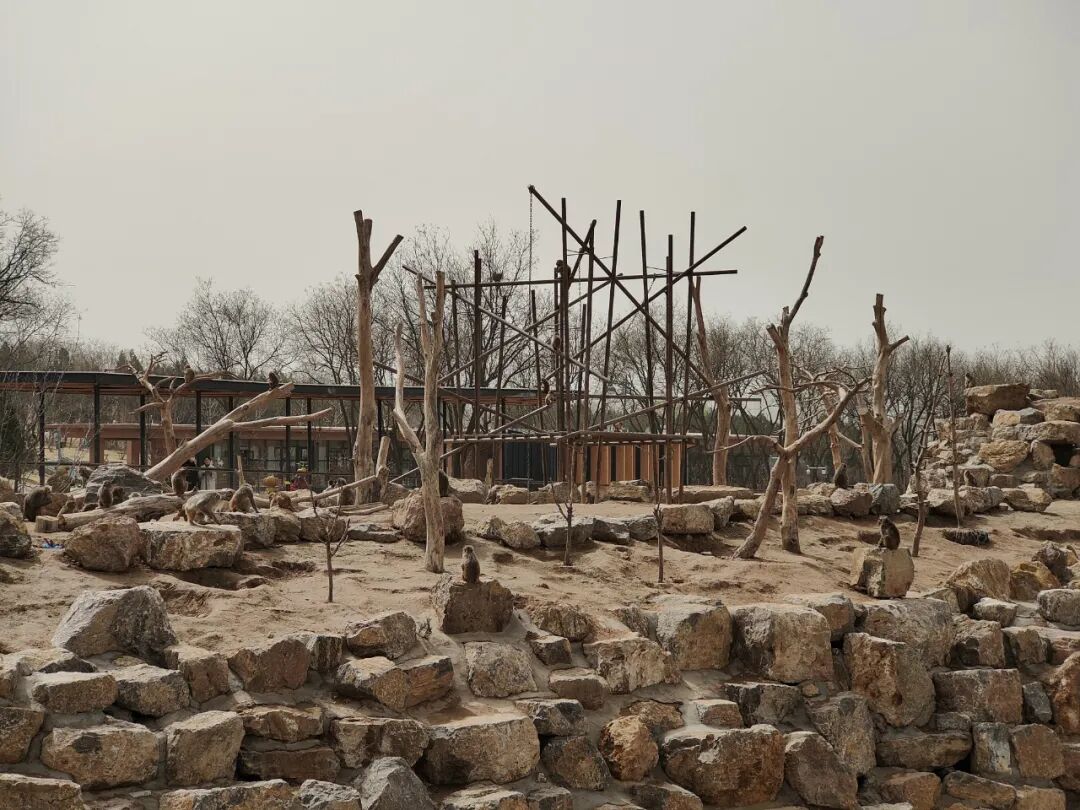 中看不中用？砸30亿改造的太原动物园遭质疑（组图） - 1