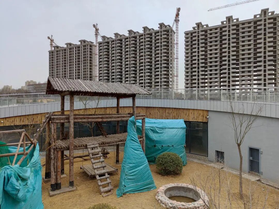 中看不中用？砸30亿改造的太原动物园遭质疑（组图） - 6