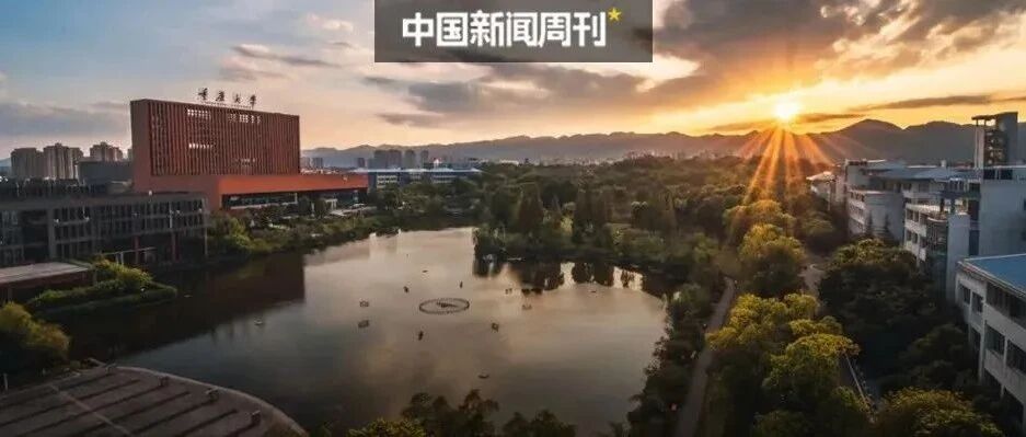 这帮年轻人，985爱死了