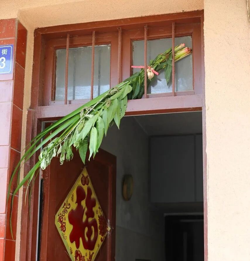 探索團建 | 粽情端午，乘風破浪！