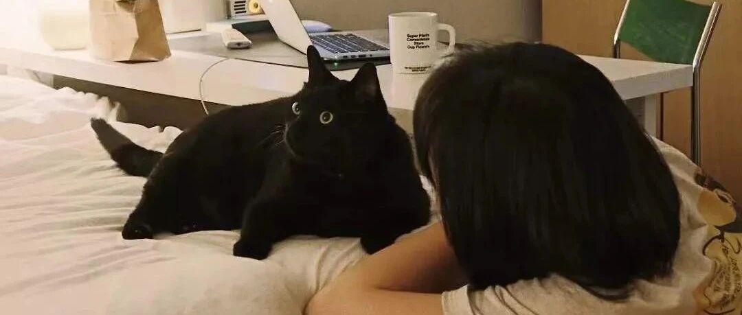 原来，独居真的会上瘾