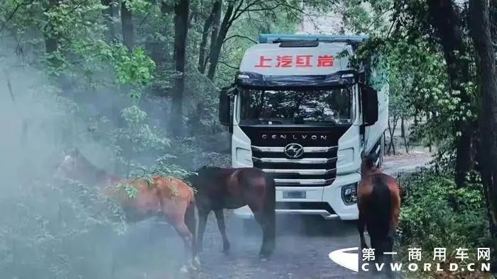 3.jpg 图片