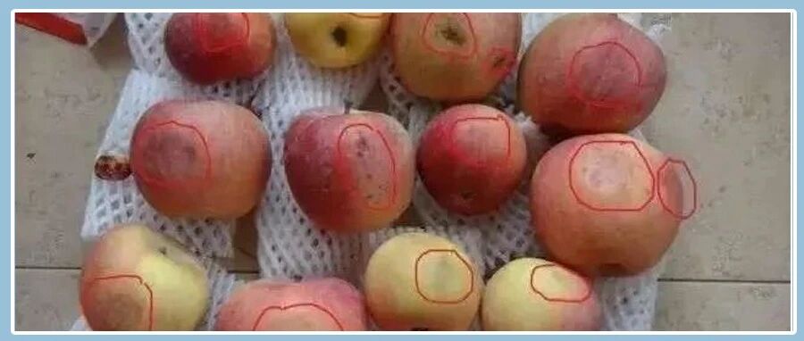 夫妻双双查出肝癌：竟是这种水果吃多了！沾一口都是伤害！