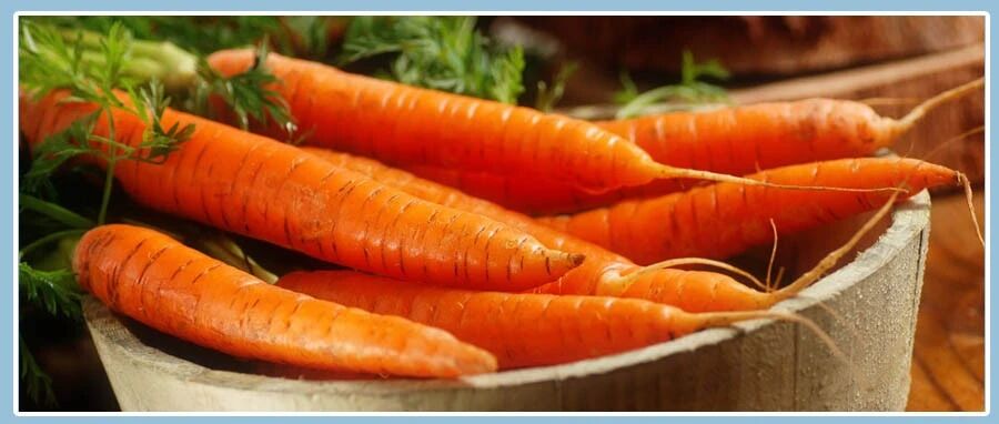 胡萝卜和此物一起煮，失眠好了，补气血，双眼明亮！