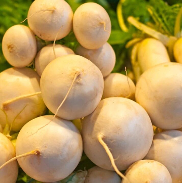 “冬吃萝卜”怎么吃？吃对了益处多多～​