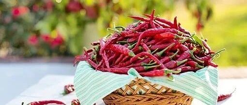 ​低钠盐降压、醋降血糖、辣椒减肥……真的吗？