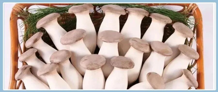 “排名第一”的便宜好东西，提高身体免疫力，秋冬季节正合适！