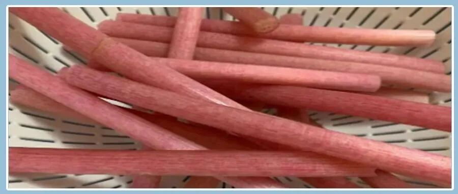 10月碰到它，多买2斤，是菜更是药，清热解毒，利尿通便，既好吃又便宜！