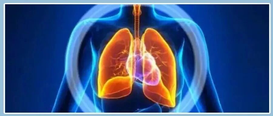 睡觉时总在凌晨3、4点醒来，再无睡意，一般暗示四大疾病，别忽视