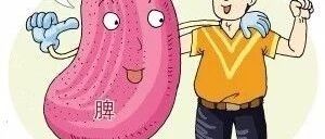 初秋按3穴位，健脾祛湿壮阳