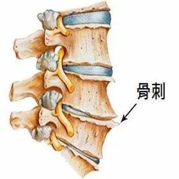 治颈椎，腰椎，膝盖……简单又神奇！