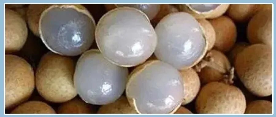 它是水果中的黄芪！每天吃几颗，胜似老母鸡，这时候吃正合适！