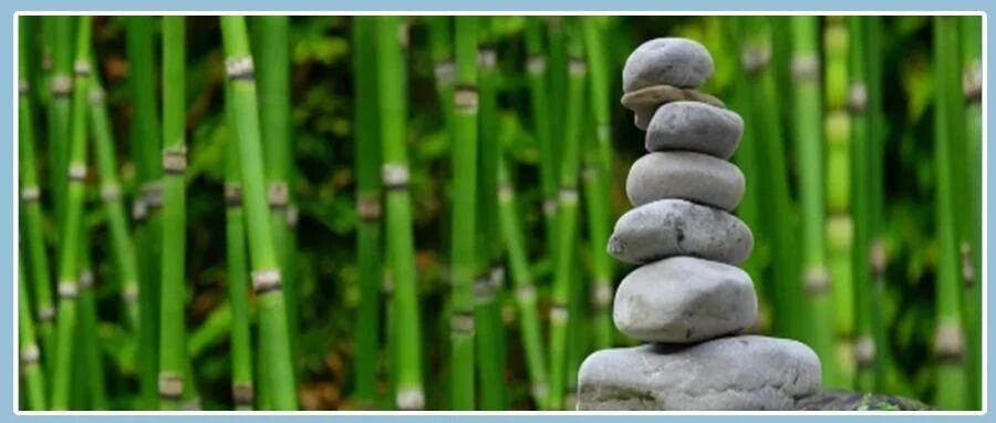 世上所有疾病都是假象，读完醍醐灌顶！