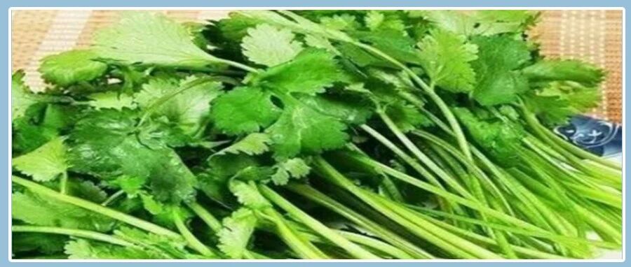 立秋后煮它吃，去除体内毒素！家家都有~