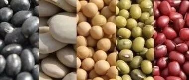 立冬后吃10天它，顶得上补半年！