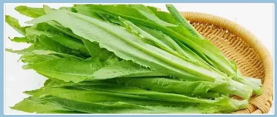 4月不吃肉，也要吃这菜！比钙片强100倍！几毛钱一斤，补钙防便秘！