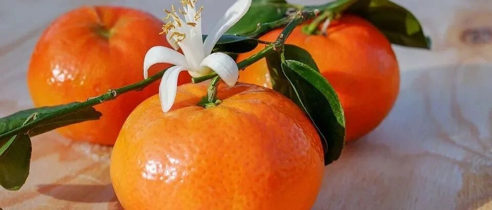 吃橘子不吃它，等于吃“火药”！