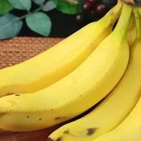 香蕉如此吃，竟然有这么多好处！后悔知道得太晚