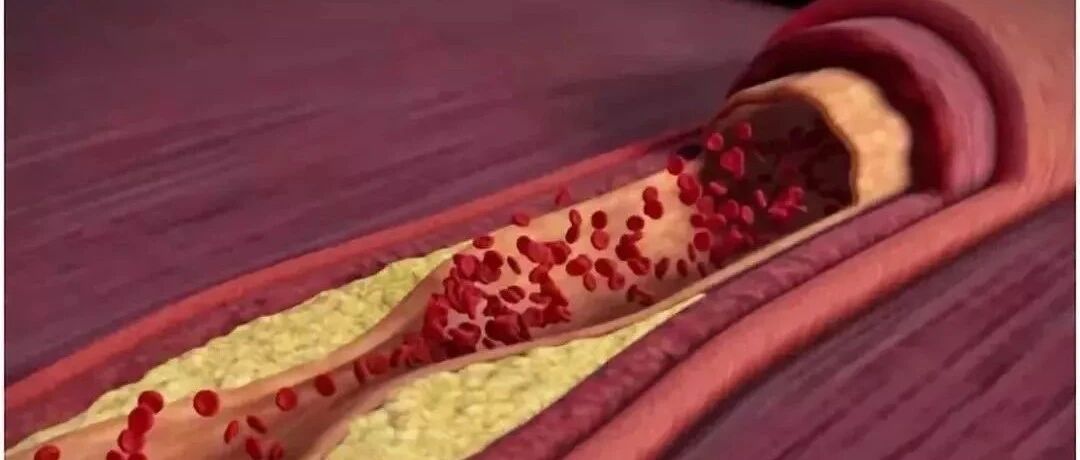 在家就能做的全面“体检”，轻松自测身体健康！简单又方便！