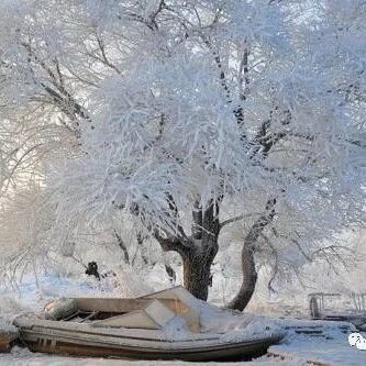 ​今年三九已提前！最冷最危险的时候来了！