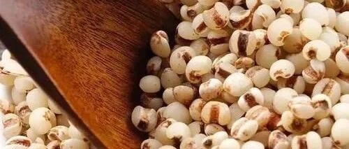 高尿酸的“特效药”来了，没事常吃，尿酸直降，效果胜似“吃药”