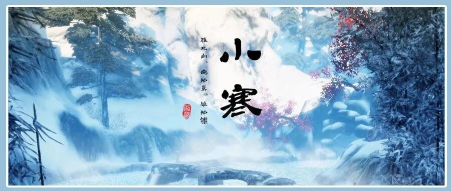 明日小寒，这4种菜大家不要再买，营养低、口感差，菜农也不吃