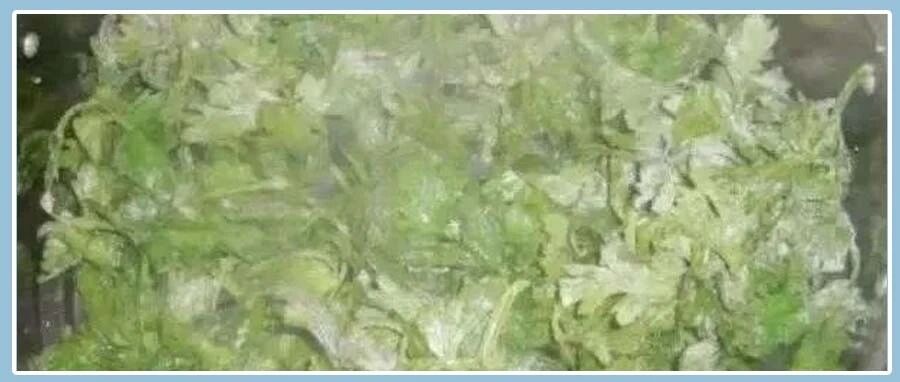 只要蒸一蒸，吃3天，排毒通便！现在知道还不晚