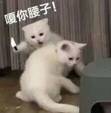 茌平招工2017工厂招工_招工_招工信息怎么发布