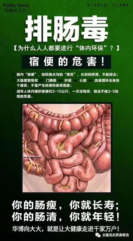 无极静桩功修炼法诀 太极功夫养身桩功 微信公众号文章阅读 Wemp