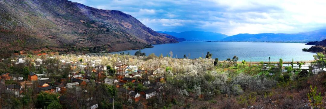 藏在洱源的"世外梨园"_大理文旅