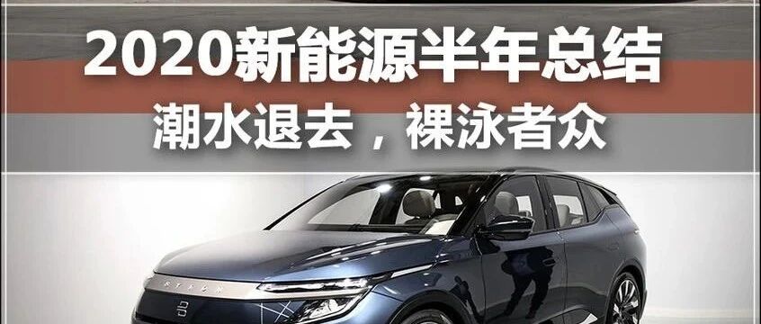 新能源半年总结：潮水退去，裸泳者众