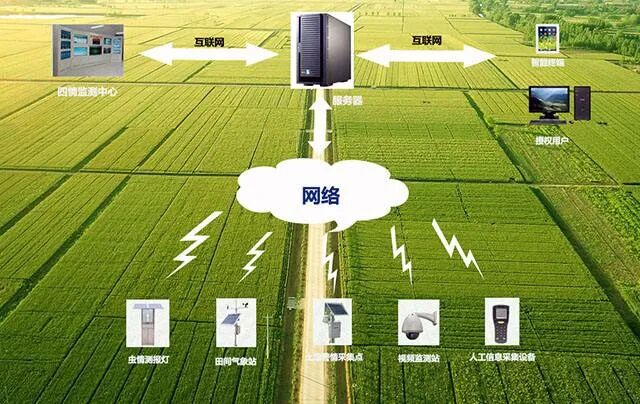 阿里的盒马村背后是中国数字农业的未来