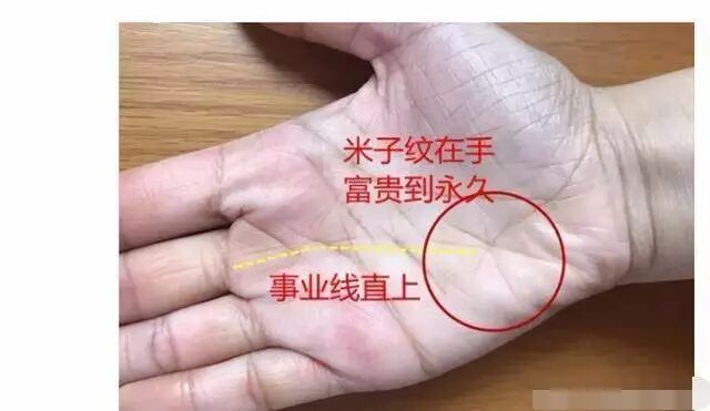 有此纹手相 十人九福 不忧钱财 神秘风水命理学 微信公众号文章阅读 Wemp
