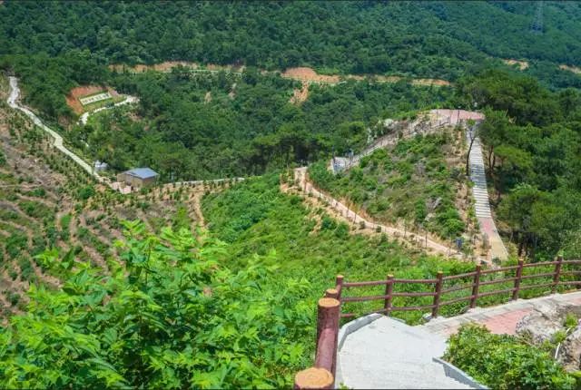 惠东飞鹅岭森林公园图片