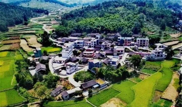 近年来,思南县板桥镇始终以高质量发展统揽全局,以农业供给侧结构性