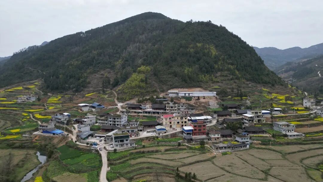 春分时节的亭子坝镇幸福村,空气清新,绿意盎然,和美的田园风光扑面