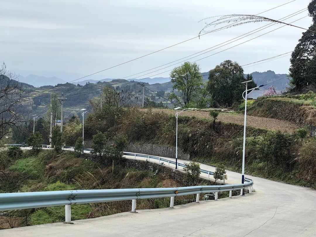 大河坝镇桃子岩村80盏太阳能路灯点亮群众出行路