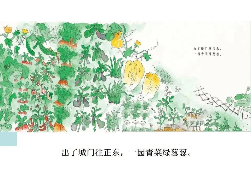 梦游青果园，与夫共摘青涩梦