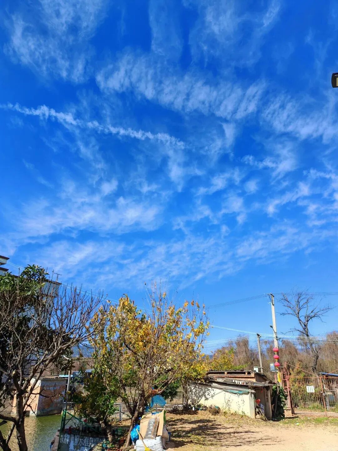 8099999街头巷尾微信