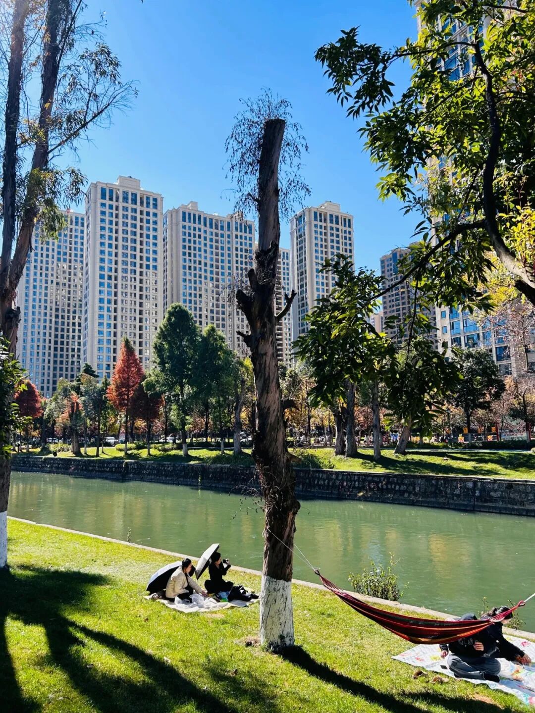 8099999街头巷尾微信