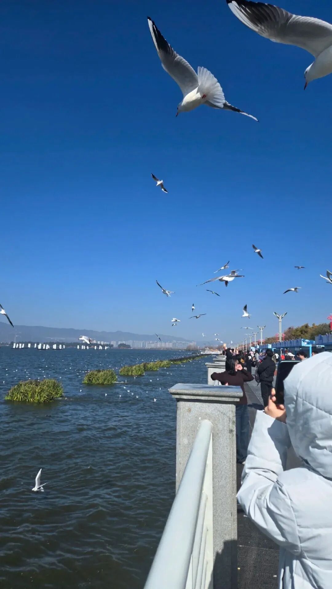 8099999街头巷尾微信