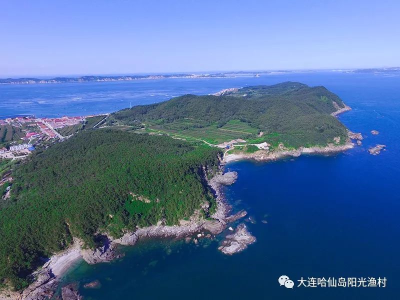 東南亞海島旅游攻略_海島大亨4旅游攻略_大連海島旅游攻略