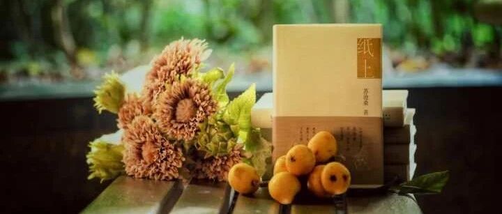 【湿地随笔】白利：纸上遇见了广阔