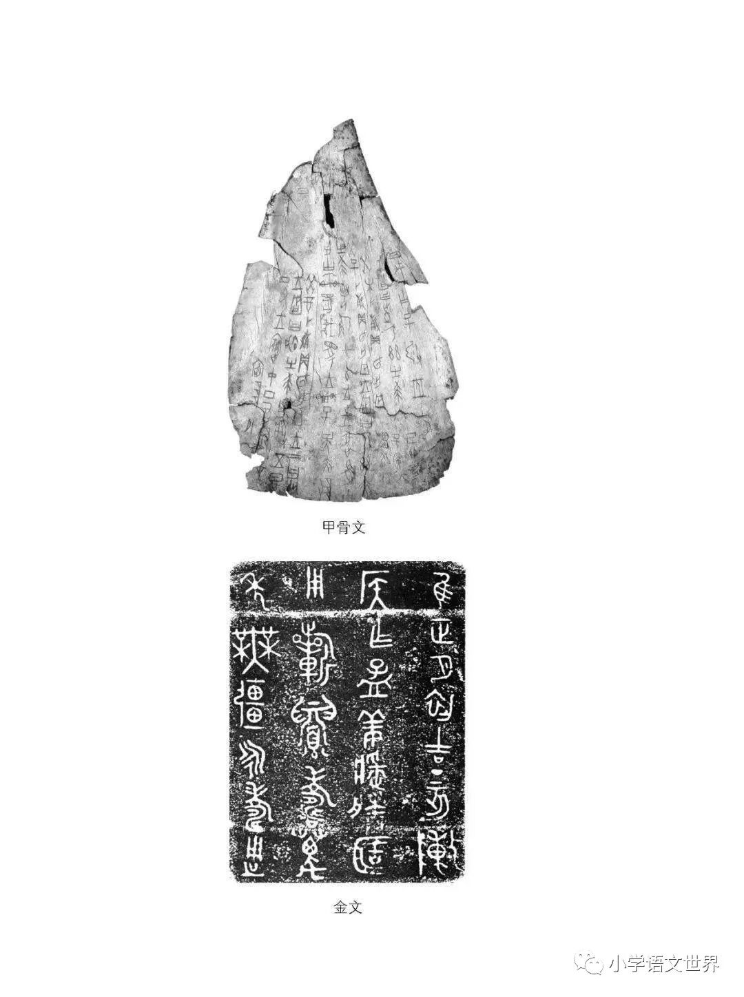 综合性学习材料 汉字的演变过程 全网搜