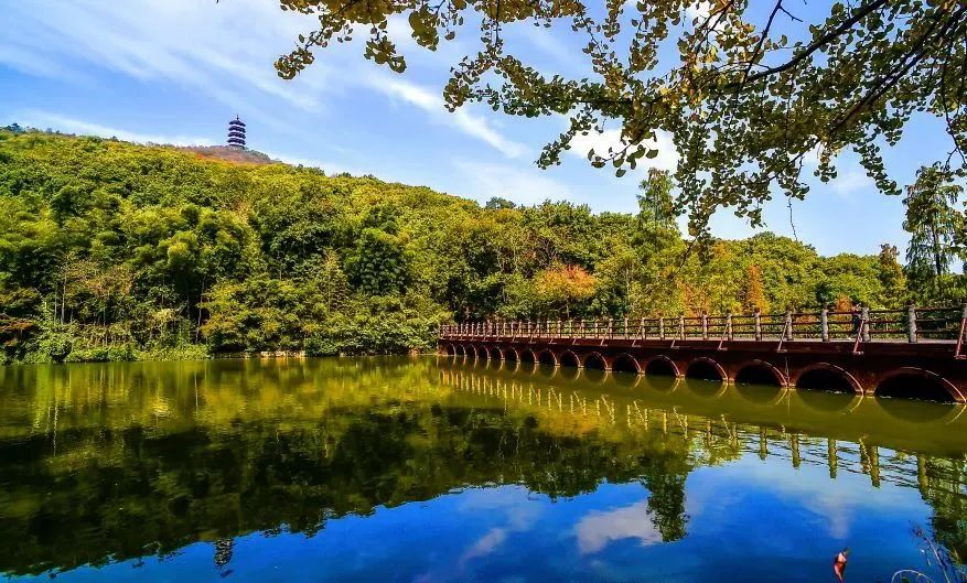 抚顺白鹭岛风景区门票图片