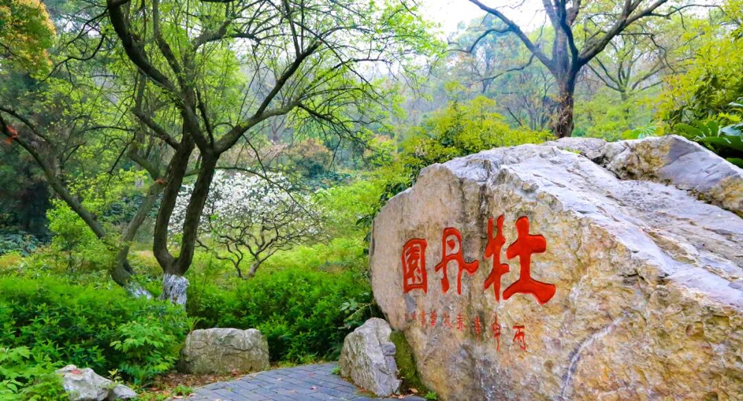 人间四月天踏青正当时古隆中景区承包你的清明假期