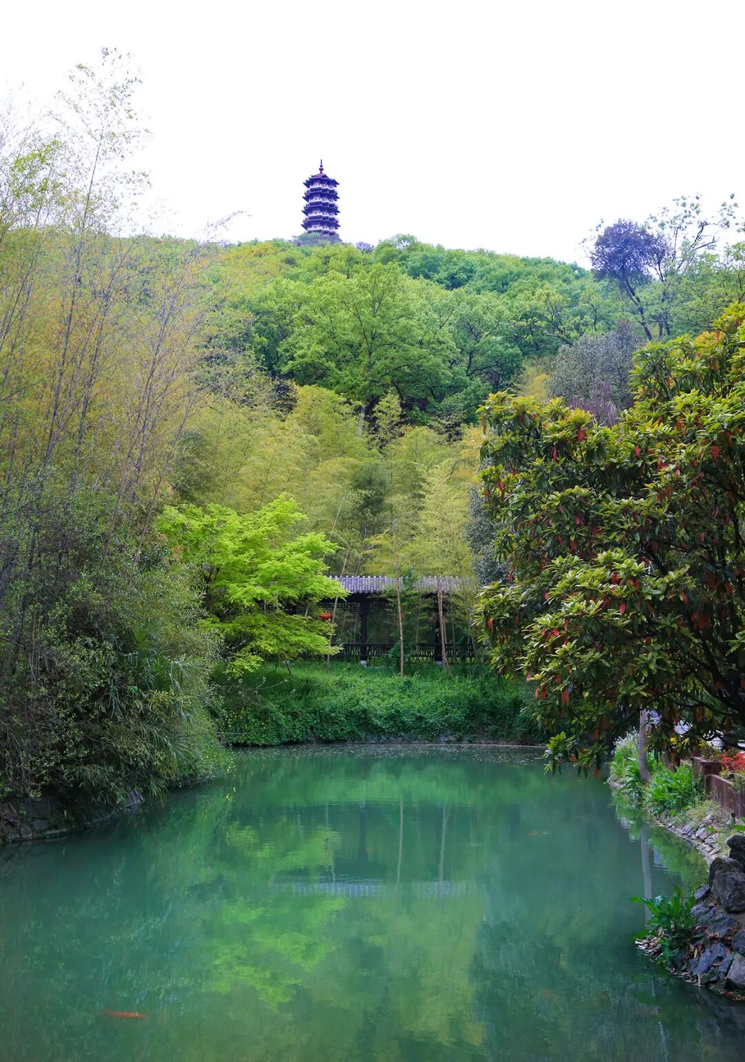 人间四月天踏青正当时古隆中景区承包你的清明假期