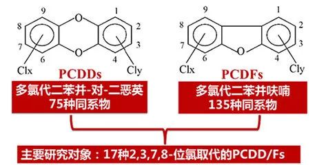 二恶英检测的小而简