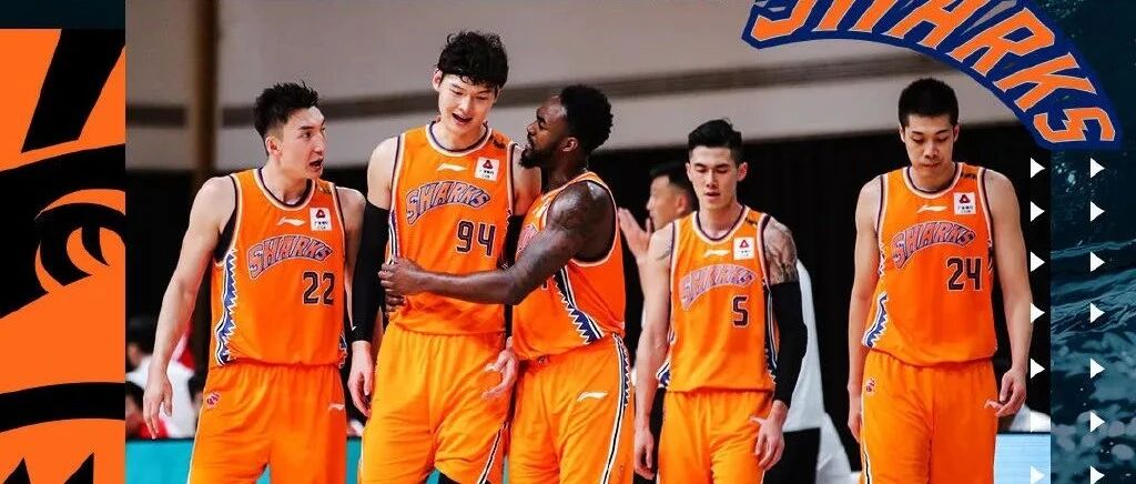 【回味】今年的大鲨鱼“香”吗？